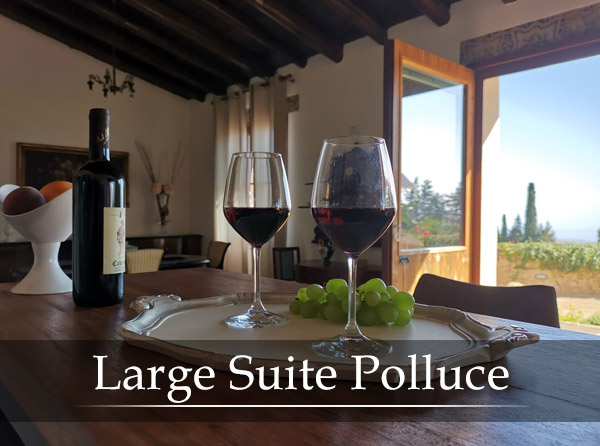 Large Suite Polluce